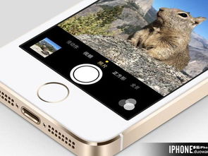 成都旅游類APP開發(fā) 深度解析核心用戶需求與功能導(dǎo)向