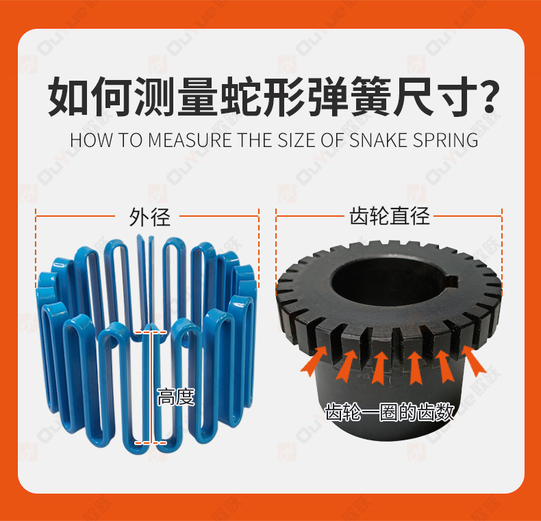 蛇形彈簧聯軸器 類型、國標及應用品牌解析